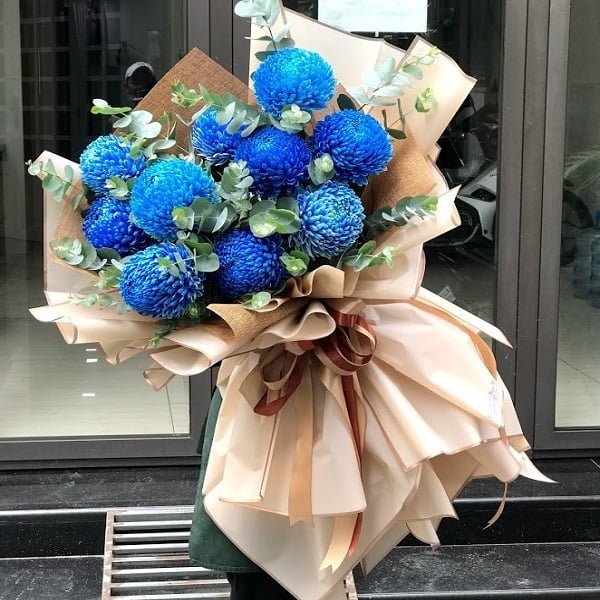 Hoa cúc xanh (xanh dương)