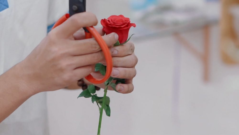 cách làm bó hoa hồng bằng giấy nhún