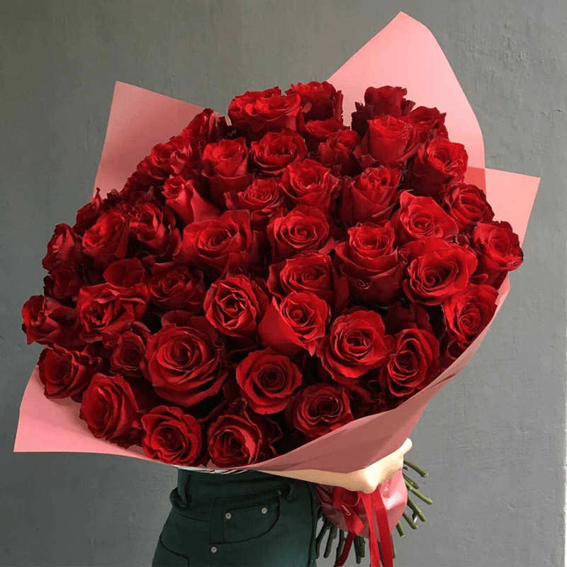Hoa hồng - Loài hoa tượng trưng cho tình yêu và sắc đẹp
