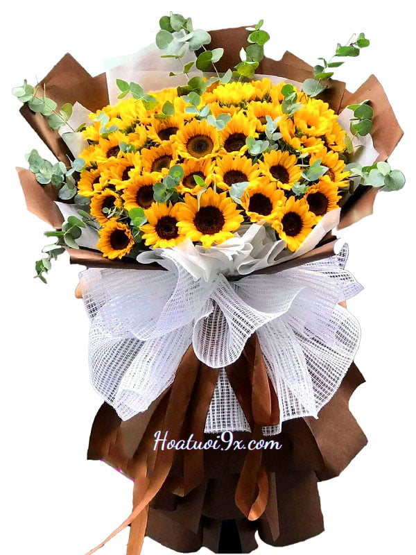 Bó Hoa Hướng Dương