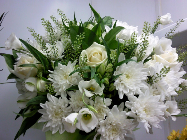 Bó hoa cúc trắng