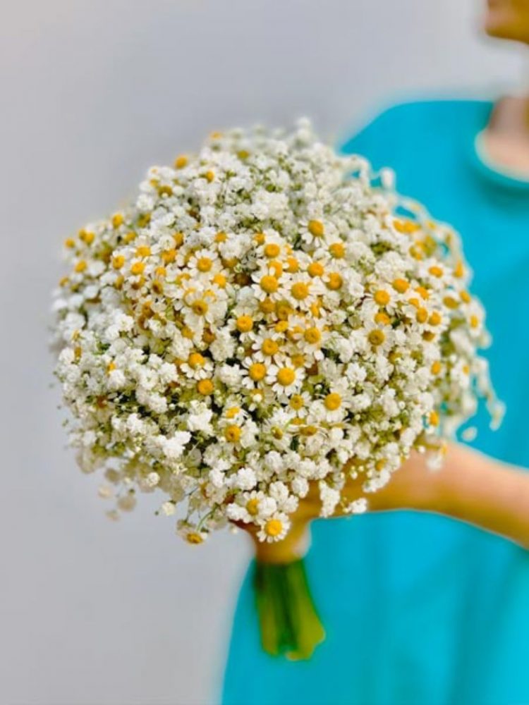 Cách bó hoa cưới bằng cúc tana với hoa baby