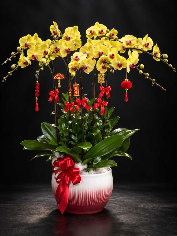 Tài Lộc Viên Mãn M151