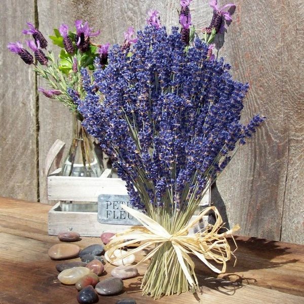 Cách cắm bình hoa lavender đơn giản, lung linh nhất