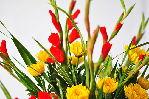 Cách cắm hoa dâng bàn thờ với hoa lay ơn và hoa cúc