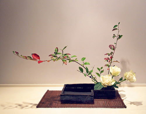 Bình hoa đồng tiền - Trang trí hoa theo phong cách Nhật Bản