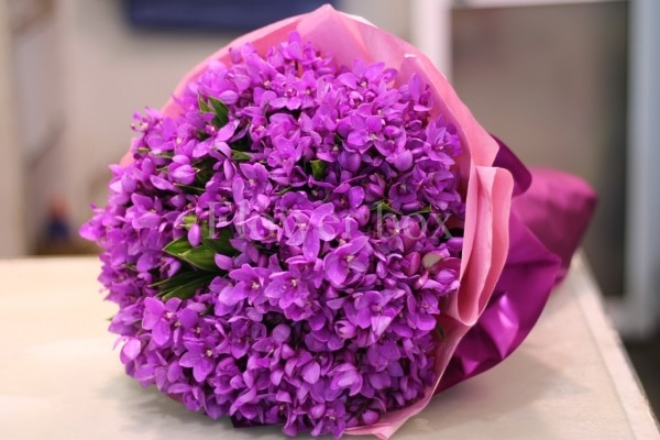 hình ảnh hoa bó đẹp nhất, chất lượng nhất được gửi đến bạn