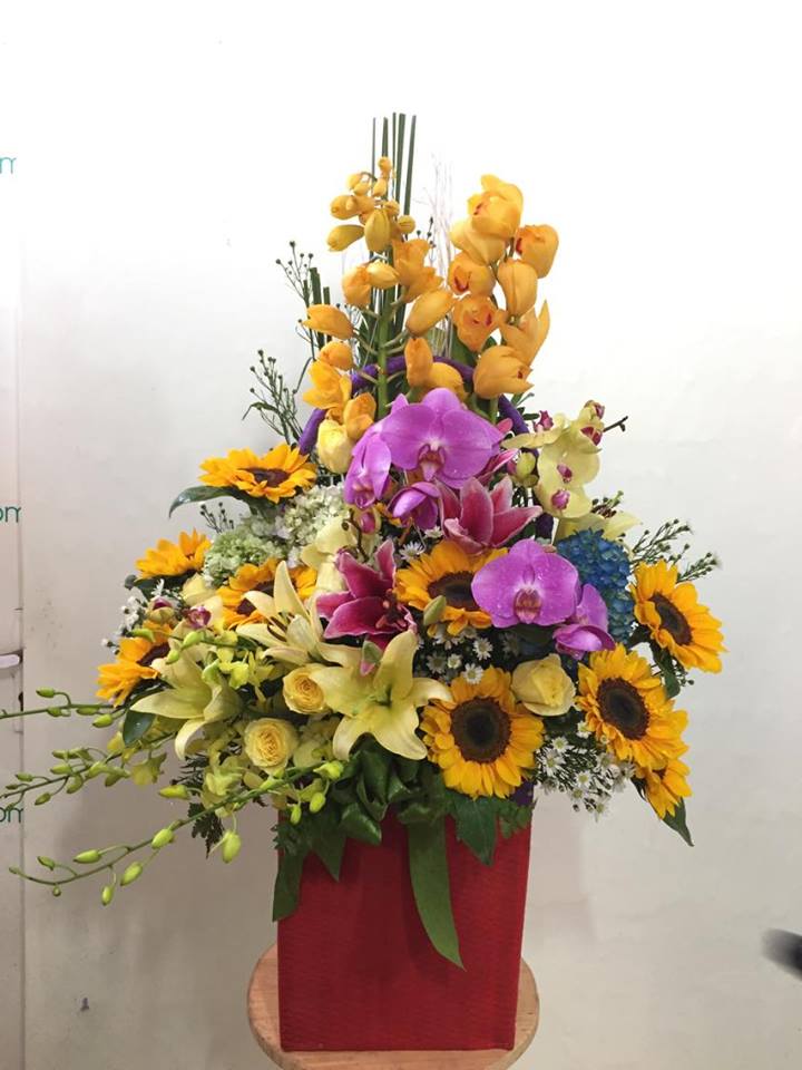 mẫu hoa tặng ngày thầy thuốc Việt Nam